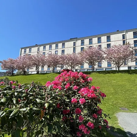 83m2-3 Sleeping Rooms-2 Balconies-direct Traffic To Airport And Tourist Places Apartment