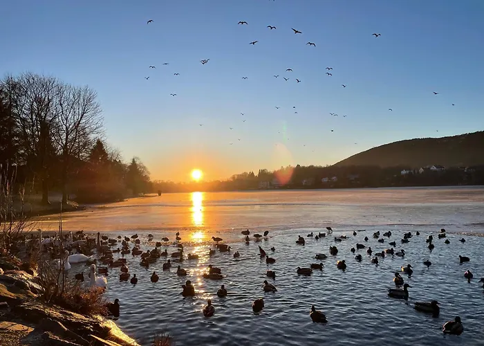 Apartament 83m2-3 Sleeping Rooms-2 Balconies-direct Traffic To Airport And Tourist Places Bergen